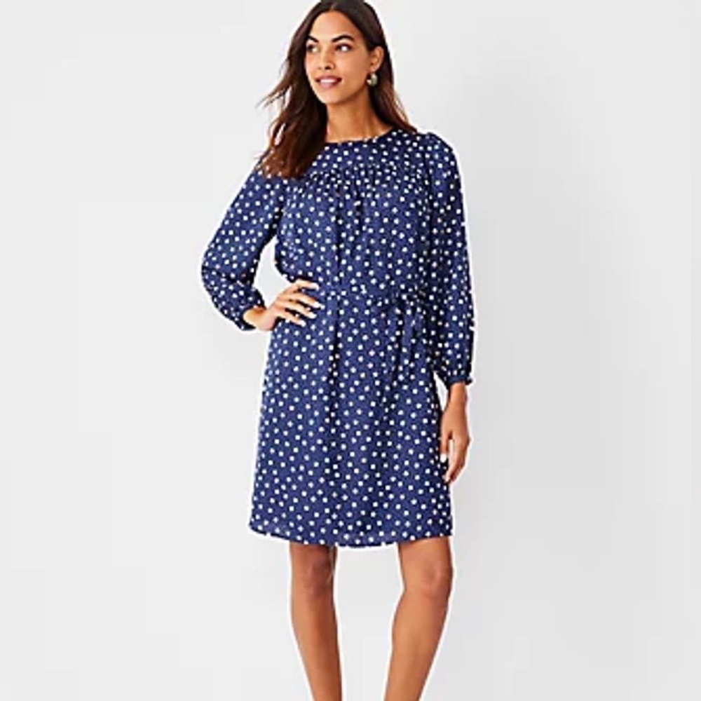 Anne Taylor Dress Navy with White Dots Small | New without tags.